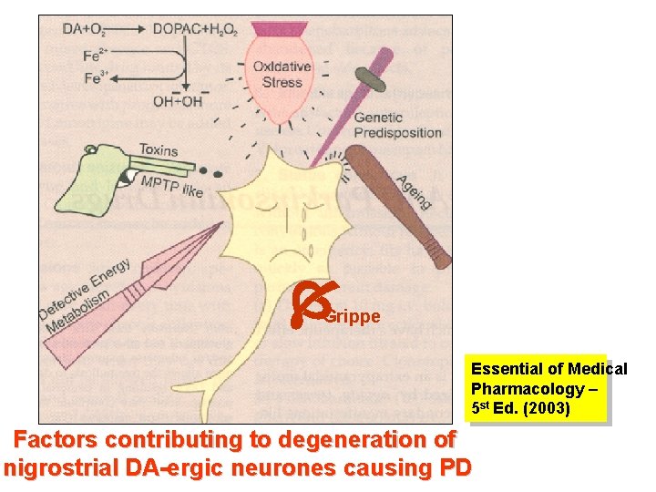  Grippe Essential of Medical Pharmacology – 5 st Ed. (2003) Factors contributing to