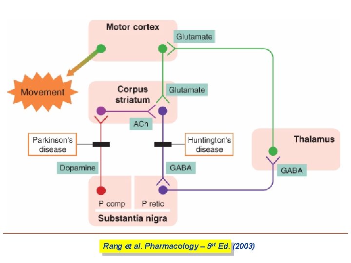 Rang et al. Pharmacology – 5 st Ed. (2003) 