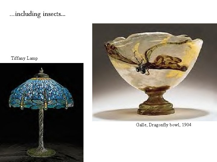 …including insects. . . Tiffany Lamp Galle, Dragonfly bowl, 1904 