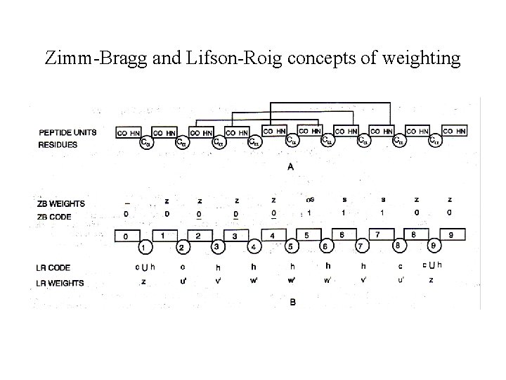 Zimm-Bragg and Lifson-Roig concepts of weighting 