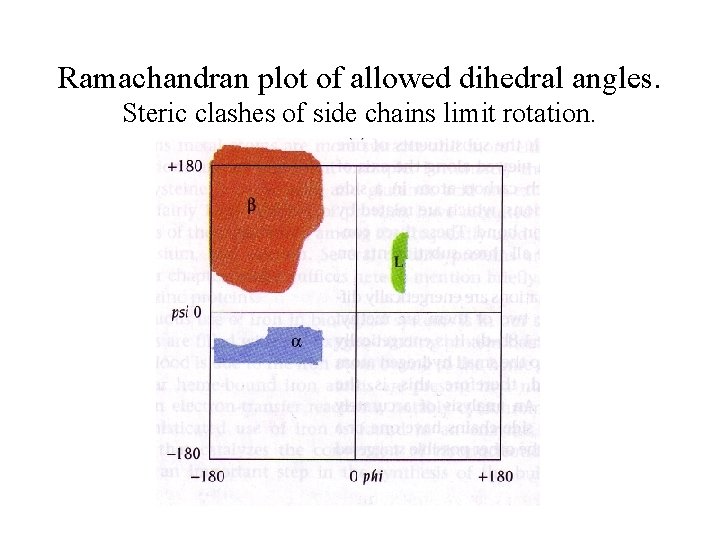 Ramachandran plot of allowed dihedral angles. Steric clashes of side chains limit rotation. 