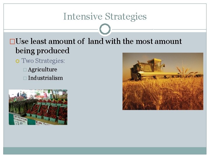 Intensive Strategies �Use least amount of land with the most amount being produced Two