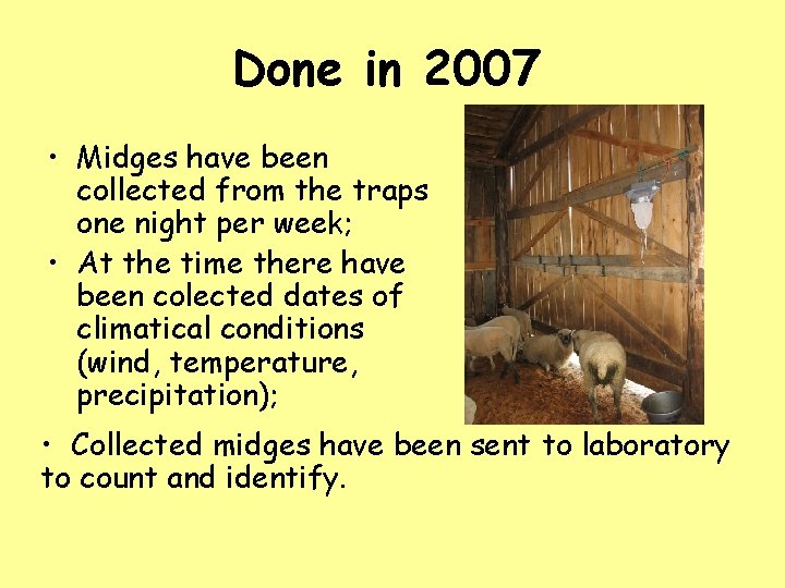 Done in 2007 • Midges have been collected from the traps one night per