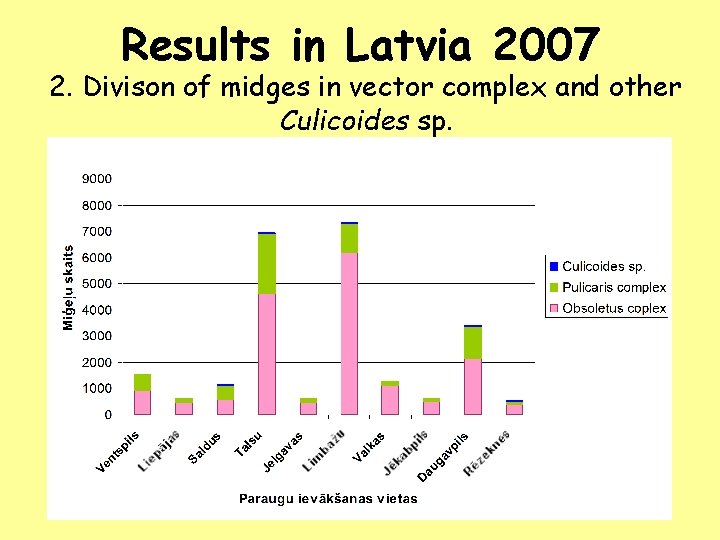 Results in Latvia 2007 2. Divison of midges in vector complex and other Culicoides