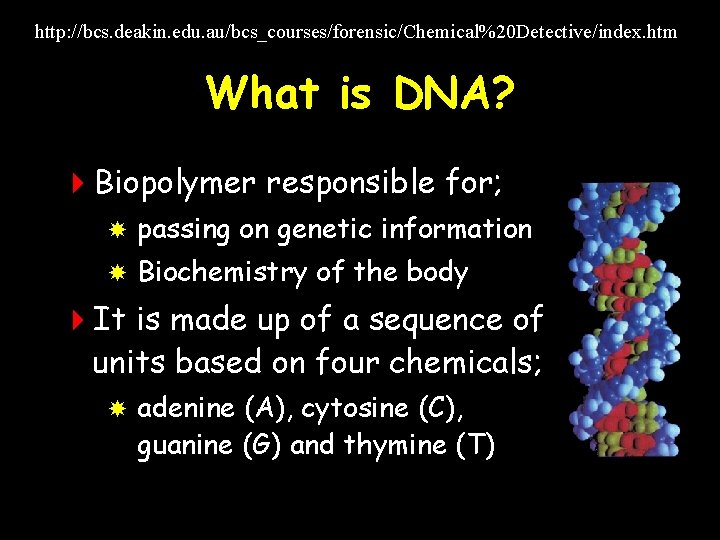 http: //bcs. deakin. edu. au/bcs_courses/forensic/Chemical%20 Detective/index. htm What is DNA? 4 Biopolymer responsible for;