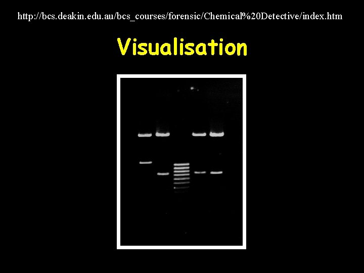 http: //bcs. deakin. edu. au/bcs_courses/forensic/Chemical%20 Detective/index. htm Visualisation 