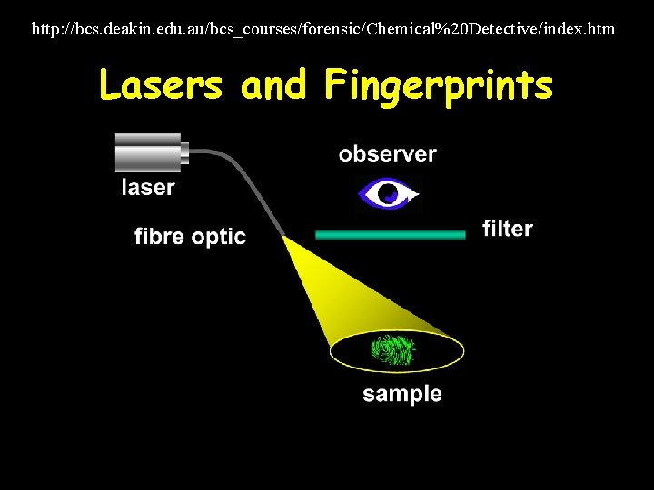 http: //bcs. deakin. edu. au/bcs_courses/forensic/Chemical%20 Detective/index. htm Lasers and Fingerprints 