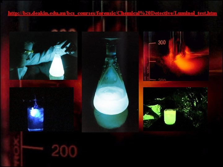 http: //bcs. deakin. edu. au/bcs_courses/forensic/Chemical%20 Detective/Luminol_test. htm 