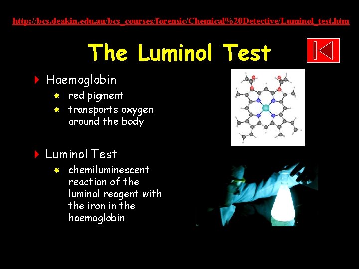 http: //bcs. deakin. edu. au/bcs_courses/forensic/Chemical%20 Detective/Luminol_test. htm The Luminol Test 4 Haemoglobin red pigment