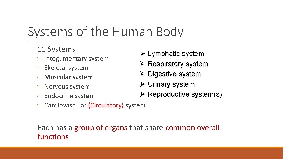 Systems of the Human Body 11 Systems ◦ ◦ ◦ Ø Lymphatic system Integumentary