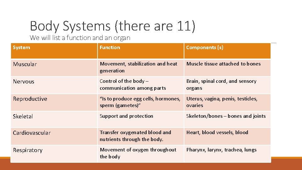 Body Systems (there are 11) We will list a function and an organ System