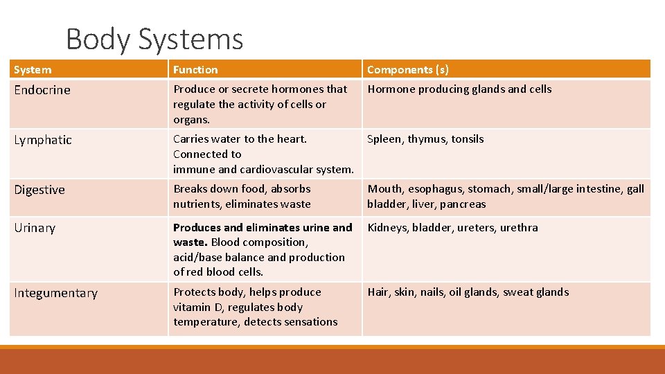 Body Systems System Function Components (s) Endocrine Produce or secrete hormones that regulate the