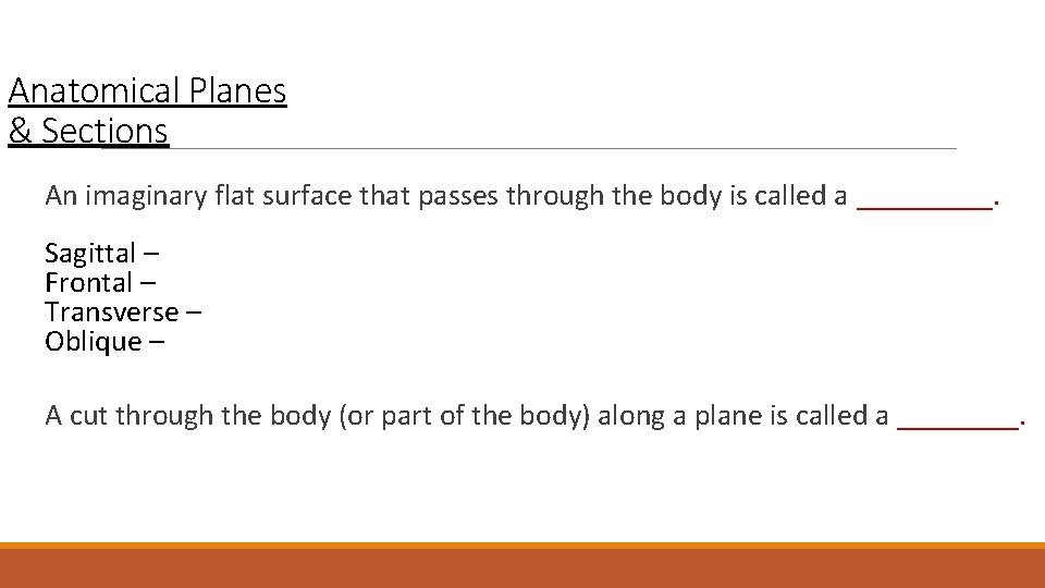 Anatomical Planes & Sections An imaginary flat surface that passes through the body is