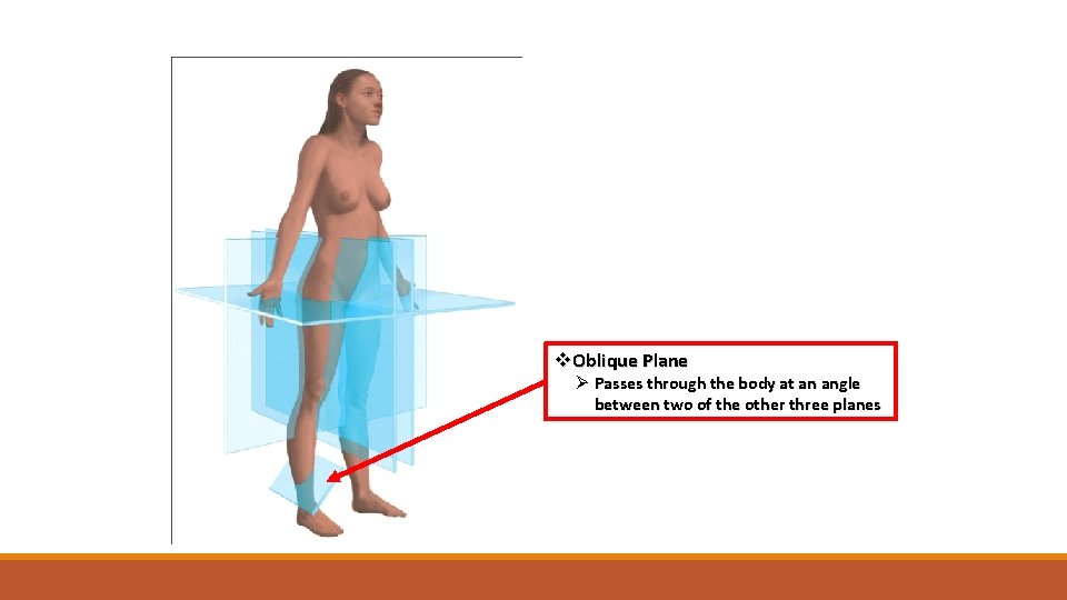 v. Oblique Plane Ø Passes through the body at an angle between two of