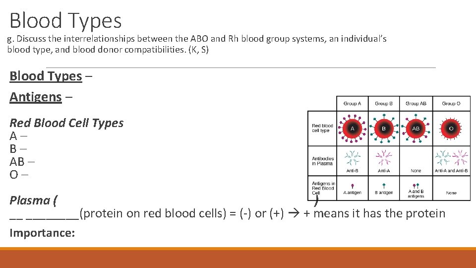 Blood Types g. Discuss the interrelationships between the ABO and Rh blood group systems,