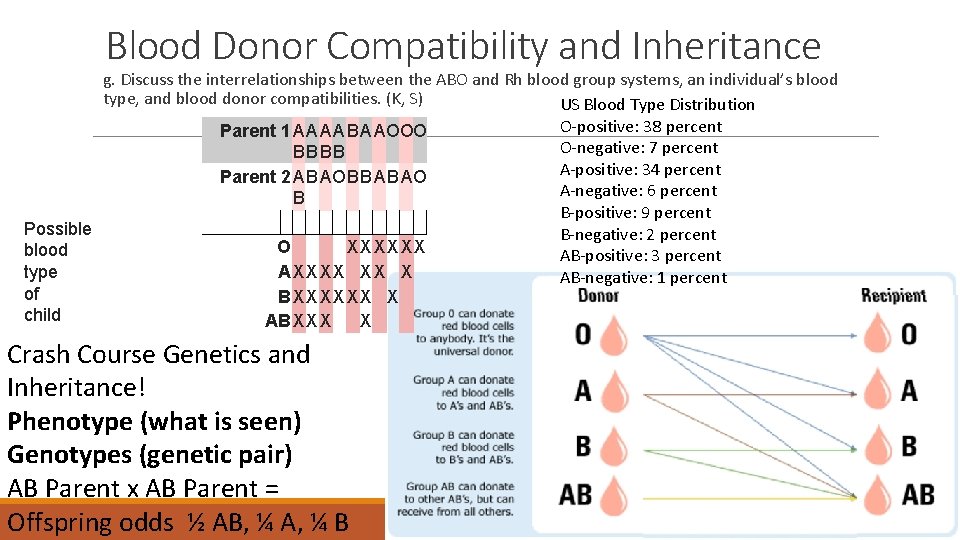 Blood Donor Compatibility and Inheritance g. Discuss the interrelationships between the ABO and Rh