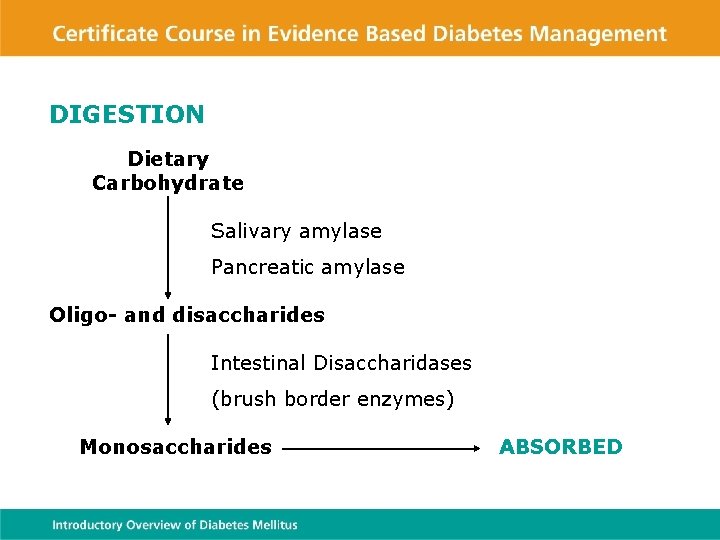DIGESTION Dietary Carbohydrate Salivary amylase Pancreatic amylase Oligo- and disaccharides Intestinal Disaccharidases (brush border