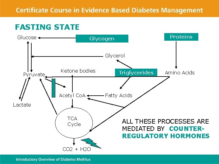 FASTING STATE Glucose Proteins Glycogen Glycerol Pyruvate Ketone bodies Acetyl Co. A Triglycerides Amino