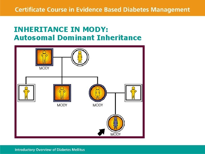 INHERITANCE IN MODY: Autosomal Dominant Inheritance 