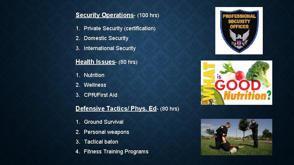 Security Operations- (100 hrs) 1. Private Security (certification) 2. Domestic Security 3. International Security