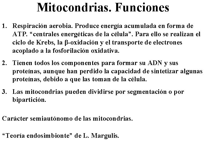 Mitocondrias. Funciones 1. Respiración aerobia. Produce energía acumulada en forma de ATP. “centrales energéticas
