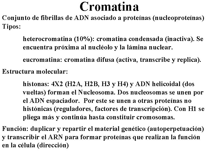 Cromatina Conjunto de fibrillas de ADN asociado a proteínas (nucleoproteínas) Tipos: heterocromatina (10%): cromatina