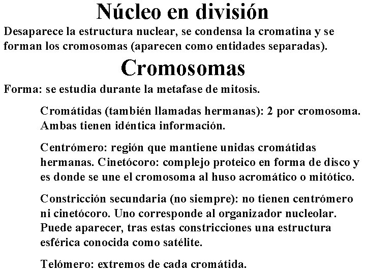 Núcleo en división Desaparece la estructura nuclear, se condensa la cromatina y se forman