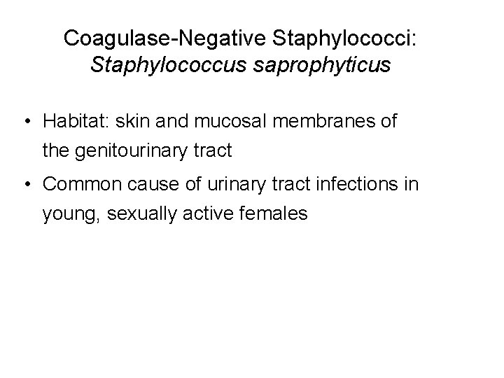Coagulase-Negative Staphylococci: Staphylococcus saprophyticus • Habitat: skin and mucosal membranes of the genitourinary tract