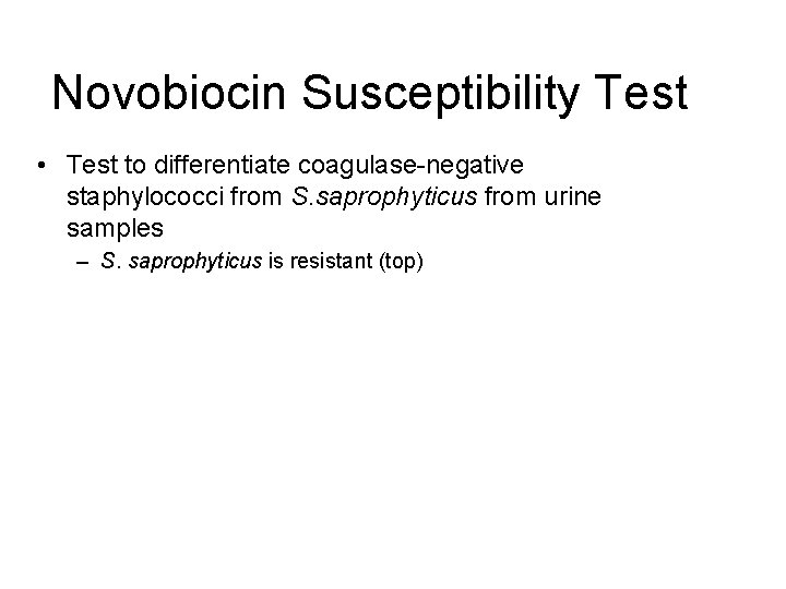 Novobiocin Susceptibility Test • Test to differentiate coagulase-negative staphylococci from S. saprophyticus from urine