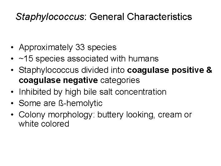 Staphylococcus: General Characteristics • Approximately 33 species • ~15 species associated with humans •