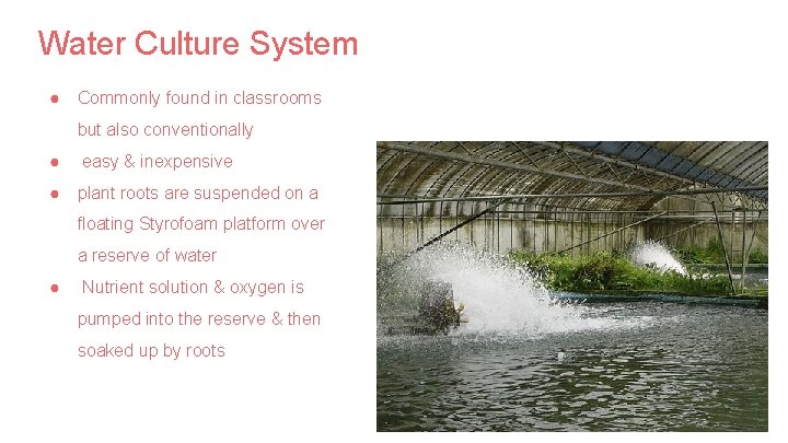 Water Culture System ● Commonly found in classrooms but also conventionally ● easy &