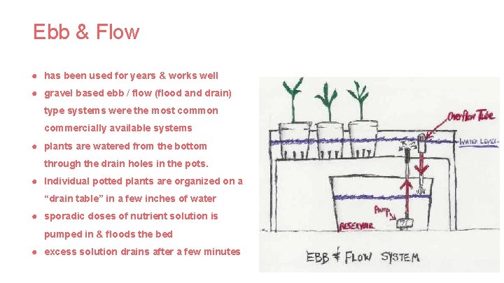 Ebb & Flow ● has been used for years & works well ● gravel