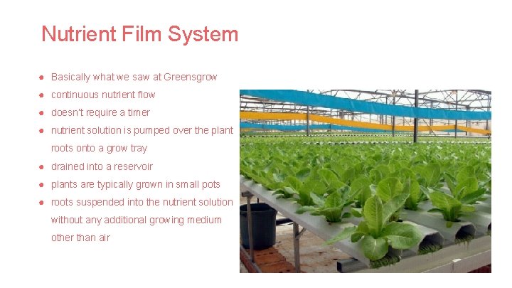 Nutrient Film System ● Basically what we saw at Greensgrow ● continuous nutrient flow