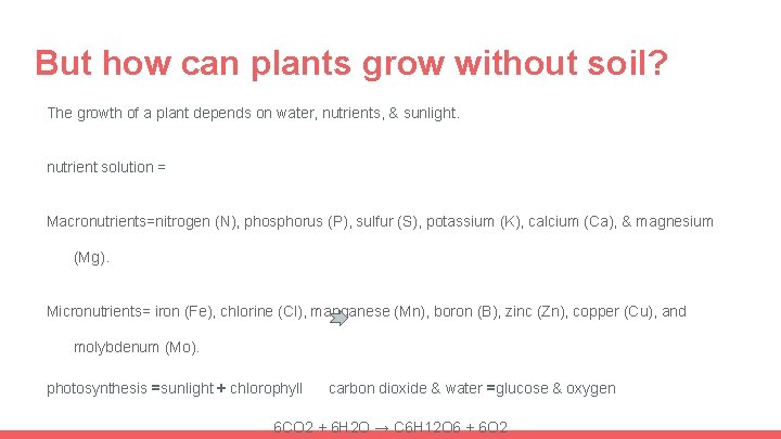 But how can plants grow without soil? The growth of a plant depends on