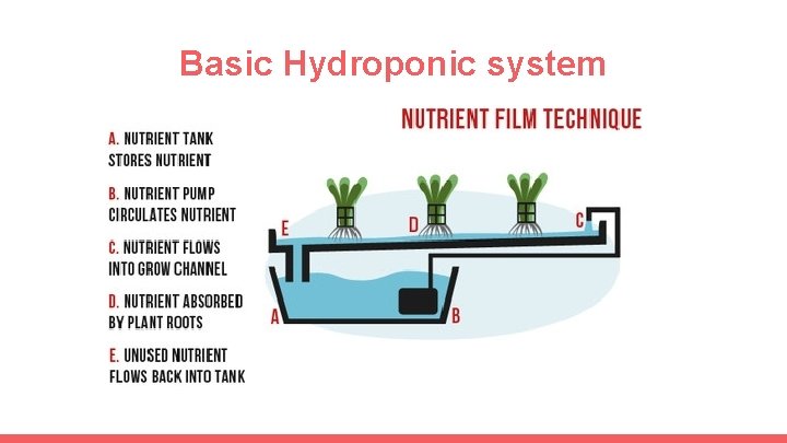 Basic Hydroponic system 