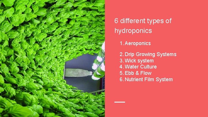 6 different types of hydroponics 1. Aeroponics 2. Drip Growing Systems 3. Wick system