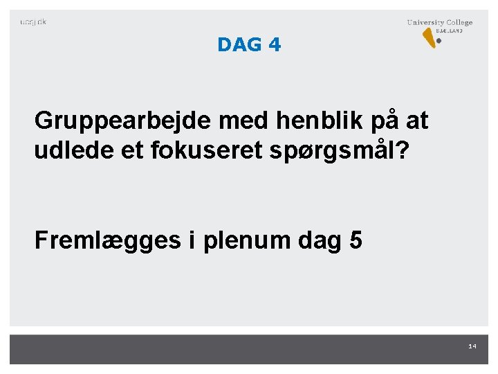 DAG 4 Gruppearbejde med henblik på at udlede et fokuseret spørgsmål? Fremlægges i plenum