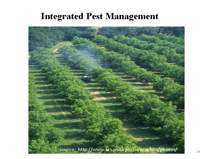 Integrated Pest Management Source: http: //www. ars. usda. gov/is/graphics/photos/ 14 