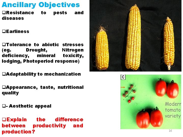 Ancillary Objectives q. Resistance diseases to pests and q. Earliness q. Tolerance to abiotic
