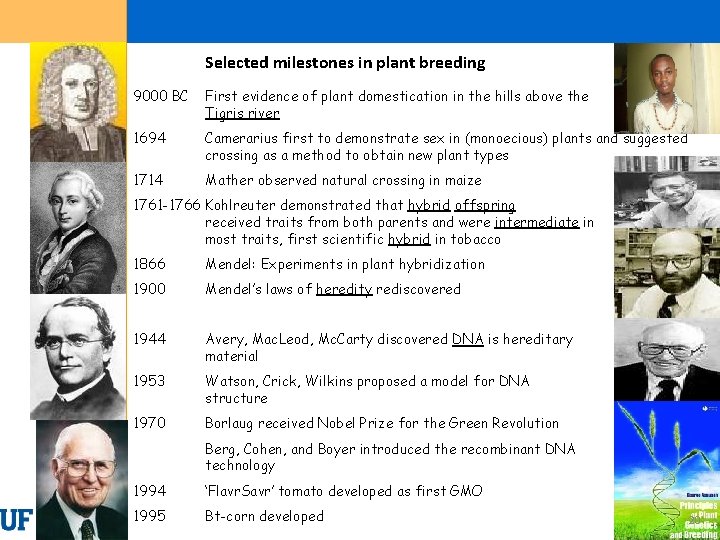 Selected milestones in plant breeding 9000 BC First evidence of plant domestication in the