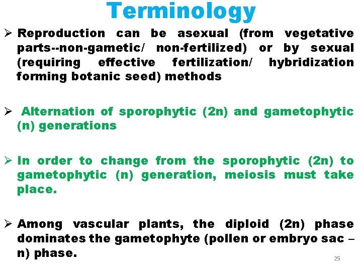 Terminology Ø Reproduction can be asexual (from vegetative parts--non-gametic/ non-fertilized) or by sexual (requiring