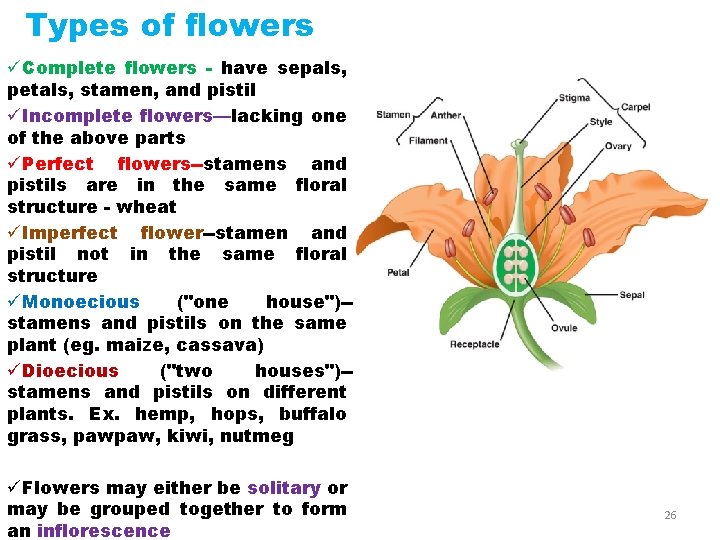Types of flowers üComplete flowers - have sepals, petals, stamen, and pistil üIncomplete flowers—lacking