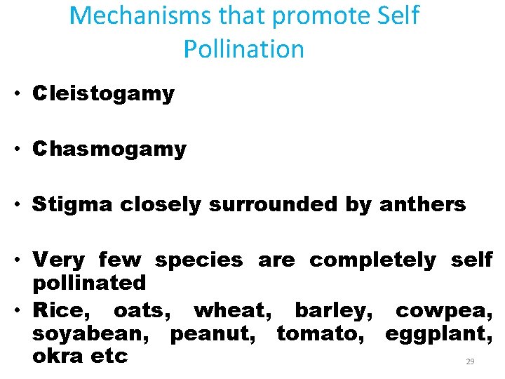 Mechanisms that promote Self Pollination • Cleistogamy • Chasmogamy • Stigma closely surrounded by
