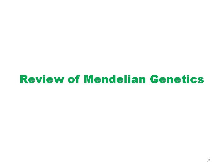 Review of Mendelian Genetics 34 