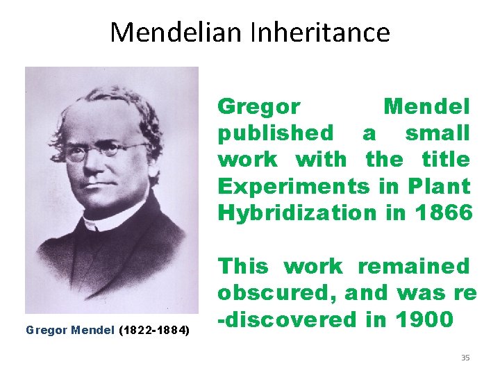 Mendelian Inheritance Gregor Mendel published a small work with the title Experiments in Plant