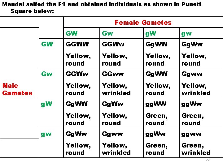 Mendel selfed the F 1 and obtained individuals as shown in Punett Square below:
