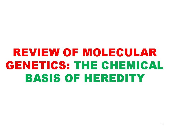 REVIEW OF MOLECULAR GENETICS: THE CHEMICAL BASIS OF HEREDITY 65 