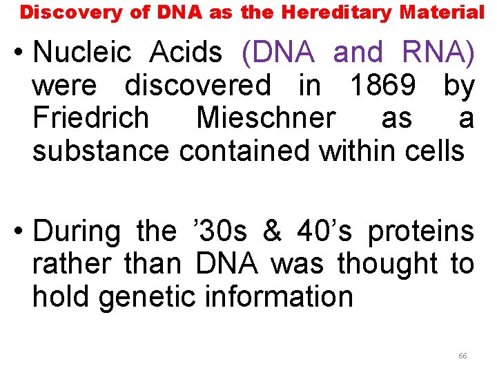 Discovery of DNA as the Hereditary Material • Nucleic Acids (DNA and RNA) were
