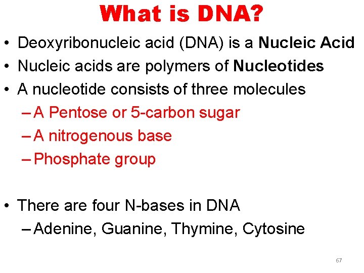 What is DNA? • Deoxyribonucleic acid (DNA) is a Nucleic Acid • Nucleic acids