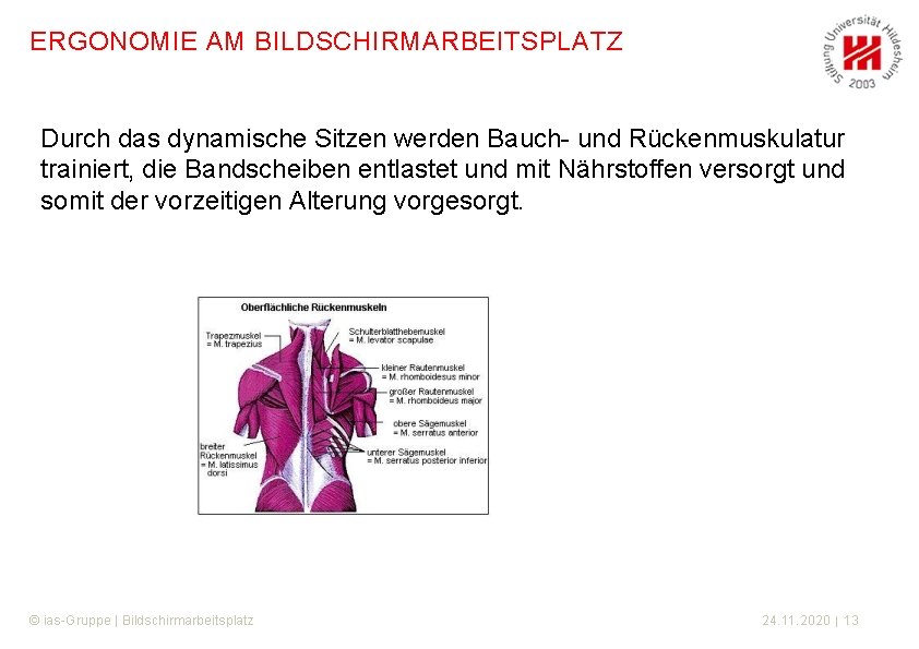 ERGONOMIE AM BILDSCHIRMARBEITSPLATZ Durch das dynamische Sitzen werden Bauch- und Rückenmuskulatur trainiert, die Bandscheiben